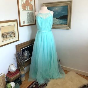 Sorella Vita Beautiful Tulle Plus Size Gown (Size 22)